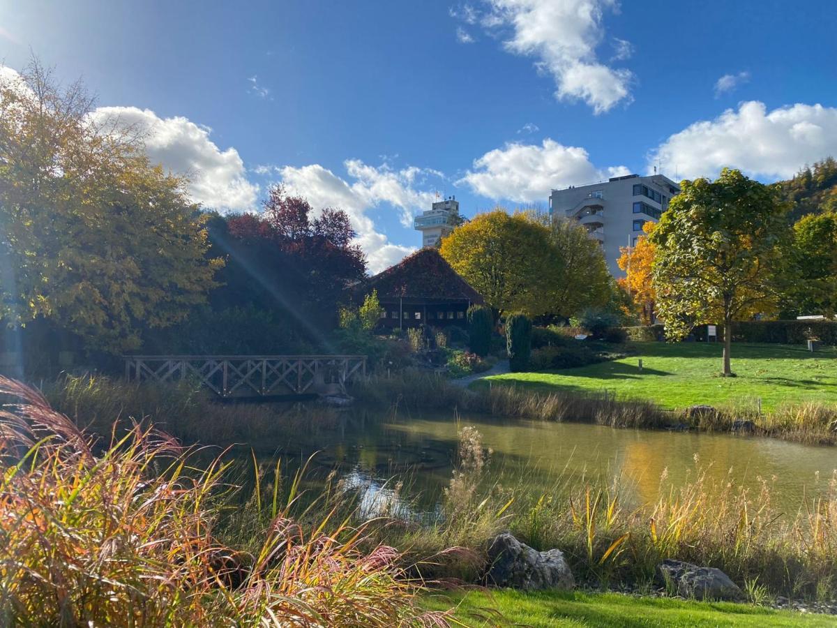 Dorint Parkhotel Bad Bad Zurzach Kültér fotó